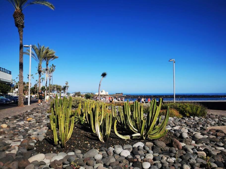 Estudio Ana Puerto de la Cruz  Exteriér fotografie